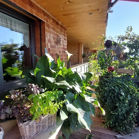 Panorama Sulzberg (Bregenz)