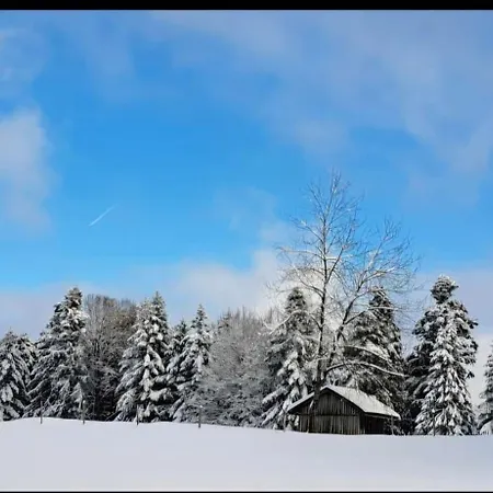 Panorama Apartament Sulzberg (Bregenz)