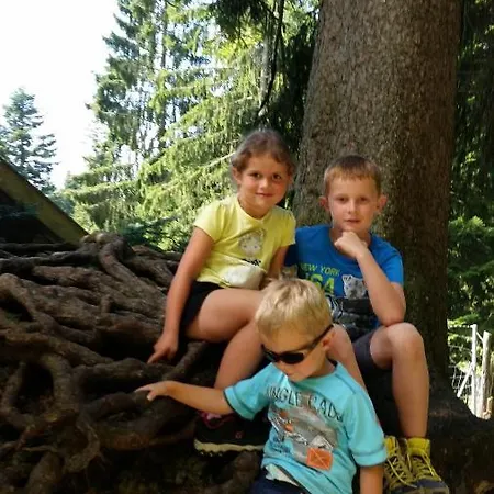 Panorama Sulzberg (Bregenz)