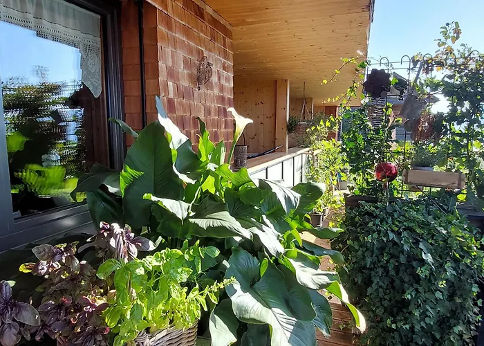 Panorama Sulzberg (Bregenz)