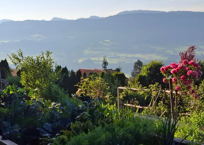 Panorama Sulzberg (Bregenz)