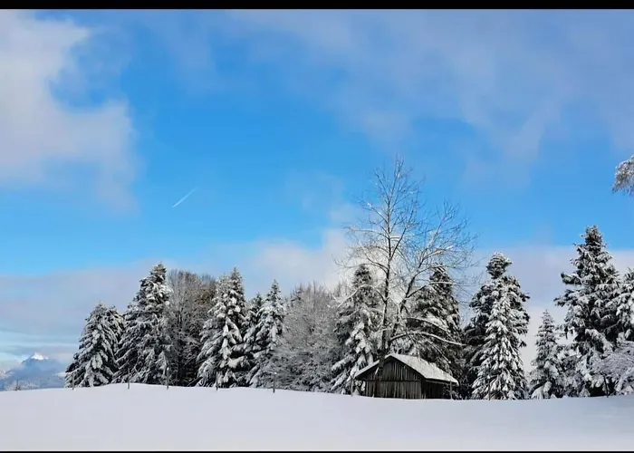 Panorama Daire Sulzberg (Bregenz)